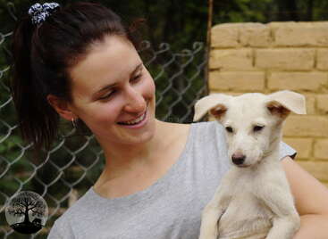 A imagem mostra uma mulher segurando um filhote de cachorro branco nos braços, com uma cerca de arame e uma parede de tijolos como pano de fundo.