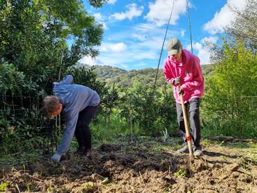 Dos personas están trabajando en un jardín bajo un cielo azul brillante. Una está cavando con una pala, mientras que la otra está plantando algo.