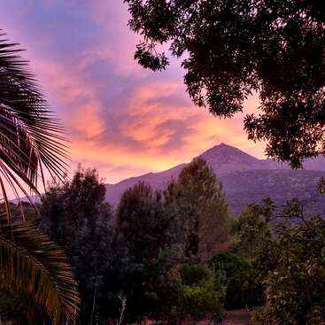 Um pôr do sol vibrante ilumina o céu com tons de rosa e laranja sobre o pico de uma montanha, emoldurado por árvores verdes exuberantes e galhos frondosos.
