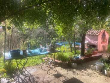 Un patio trasero soleado con una mesa azul con platos, rodeado de follaje verde. Hay una parrilla al aire libre, una piscina azul, plantas y artículos domésticos esparcidos por todas partes.