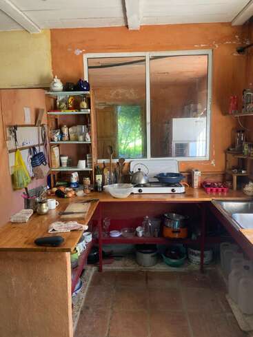Una cocina acogedora y rústica con paredes naranjas, estantes de madera con utensilios de cocina, una estufa, un fregadero, utensilios y una ventana que refleja el verdor del exterior, creando un ambiente hogareño.