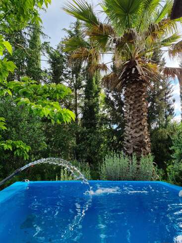 A bright blue pool sits beneath tall palm trees and lush green plants. Clear water streams into the pool, surrounded by vibrant, tranquil garden scenery.