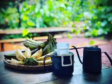 Sur une table en bois trône un panier de bananes mûres, une tasse noire avec un système de café goutte à goutte, et une autre tasse noire, le tout entouré de verdure luxuriante.
