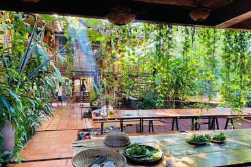 La lumière du soleil traverse la verdure luxuriante d'une salle à manger confortable en plein air. Les tables en bois, les vignes suspendues et les plantes en pot créent un cadre paisible, inspiré par la nature.