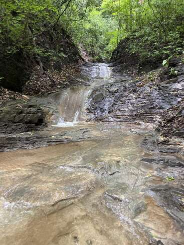 Une petite cascade sereine coule sur des rochers lisses dans une forêt luxuriante et verdoyante. La lumière du soleil filtre à travers les arbres, créant une atmosphère paisible et naturelle.