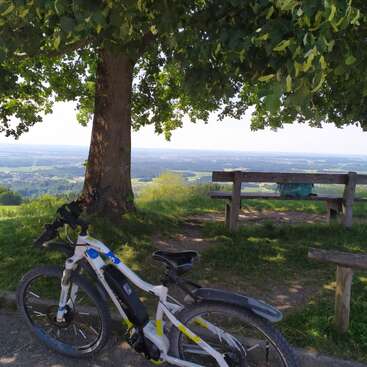 Una bicicleta de montaña descansa bajo un árbol grande y frondoso. Unos bancos de madera ofrecen una vista panorámica de un vasto paisaje iluminado por el sol, con campos y horizontes lejanos. Ambiente apacible.