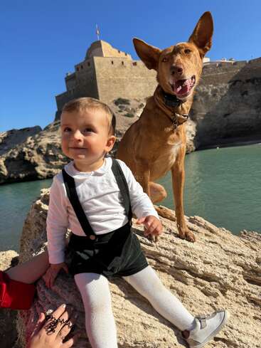 La imagen muestra a un niño y un perro sentados en un peñasco, con un castillo y una masa de agua al fondo.