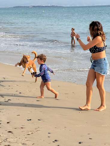 Un momento de alegría en la playa: una mujer, un niño y un enérgico perro juegan cerca de la orilla, mientras otro niño permanece de pie en aguas poco profundas, disfrutando de la diversión veraniega.