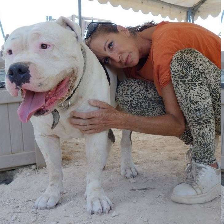 Une femme est accroupie à côté d'un grand chien blanc à la gueule ouverte, vêtue d'une chemise orange, d'un pantalon imprimé léopard et de baskets blanches, dans une zone sablonneuse.