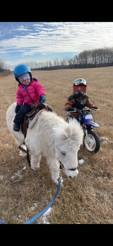Un niño pequeño monta un poni blanco y mullido, mientras que otro niño a su lado conduce una pequeña moto de cross. Ambos llevan casco y se encuentran al aire libre, en un prado.
