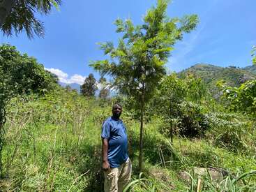 Un hombre se encuentra junto a un árbol joven en un paisaje verde y exuberante con montañas al fondo, bajo un cielo azul despejado en un día soleado.