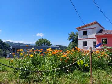 Im Vordergrund erstreckt sich ein farbenfrohes Feld mit orangefarbenen und gelben Blumen. Dahinter stehen unter einem strahlend blauen Himmel ein grauer Lieferwagen und ein zweistöckiges Haus.