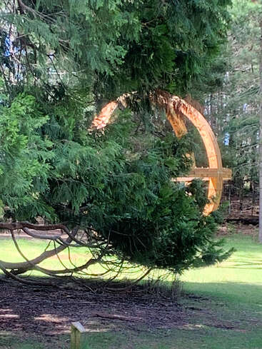 Un grand arbre aux branches tentaculaires masque partiellement un anneau jaune géant à l'arrière-plan, mêlant des éléments naturels à une intrigante installation créée par l'homme.