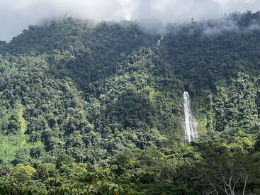 A lush green forested mountain is enveloped in mist, with a tall, narrow waterfall cascading down the center, bathed in sunlight and surrounded by dense foliage.