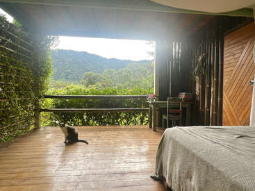 A cozy wooden room opens onto a balcony with lush greenery and mountains. A cat sits on the floor, and a desk is beside the bed.