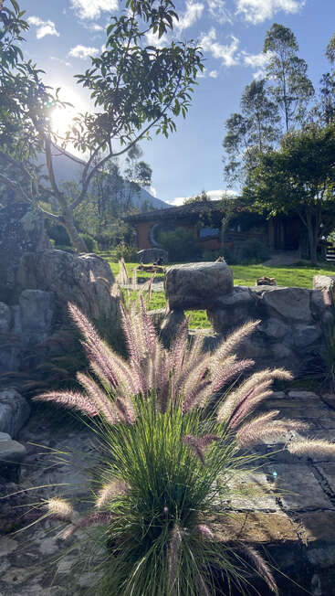La luz del sol se cuela entre las frondosas copas de los árboles, iluminando el césped ornamental y la mampostería de piedra en un exuberante jardín. Una casa rústica se encuentra tranquilamente bajo un cielo azul brillante.