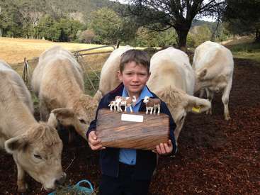 The image depicts a young boy proudly holding a wooden plaque with a cow figurine, surrounded by a group of white cows in a picturesque rural setting.