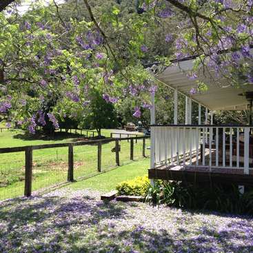 L'image représente une scène sereine d'une maison avec un porche, entourée d'une clôture et d'une verdure luxuriante, avec des fleurs violettes éclatantes au premier plan et à l'arrière-plan.