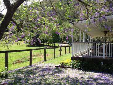 The image depicts a serene scene of a house with a porch, surrounded by a fence and lush greenery, with vibrant purple flowers blooming in the foreground and background.