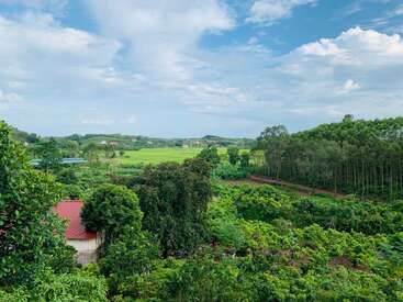 Un hermoso paisaje rural con frondosos árboles verdes, campos, una casa de tejados rojos y un cielo azul despejado con nubes dispersas en un día soleado.