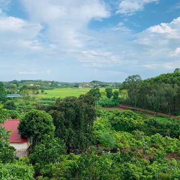A beautiful rural landscape with lush green trees, fields, a red-roofed house, and a clear blue sky with scattered clouds on a sunny day.