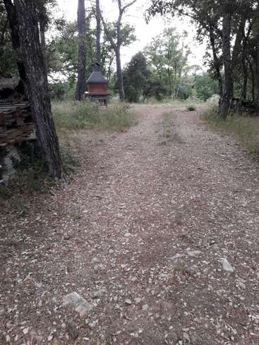 A dirt pathway leads through a wooded area with tall trees. In the background, there is a rustic outdoor fireplace or grill surrounded by greenery.