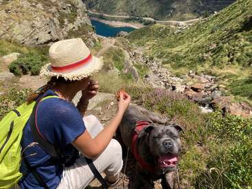 A woman wearing a straw hat sits on a mountain trail with her happy dog, enjoying a break. A blue lake glistens in the valley below.