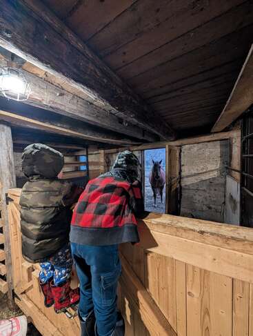 Duas crianças, bem agasalhadas, estão debruçadas sobre a porta de madeira de um estábulo, observando com curiosidade um cavalo marrom parado lá fora, no frio, no ambiente rústico do celeiro.