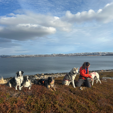 Una mujer está sentada en una zona de césped junto a un lago tranquilo, acompañada de cuatro perros. Las montañas nevadas y el cielo parcialmente nublado crean un fondo tranquilo y pintoresco.