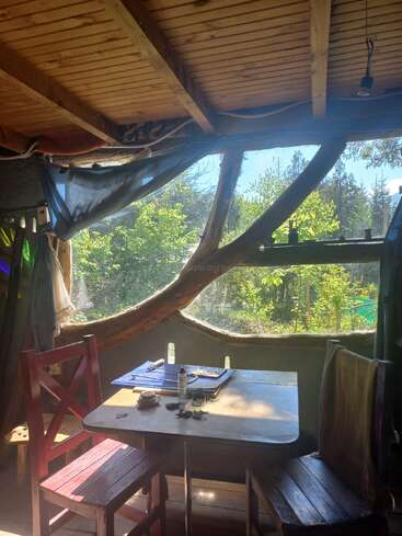 La luz del sol entra por una ventana rústica con marco de madera. Acogedoras sillas y mesa de madera con libros, hierbas y luz natural crean en el interior un ambiente tranquilo, terrenal y conectado con la naturaleza.