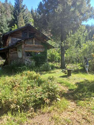 Una rústica cabaña de madera rodeada de frondosos árboles y exuberante vegetación. La luz del sol se filtra entre las ramas, iluminando un apacible jardín y a una persona solitaria cerca de él.