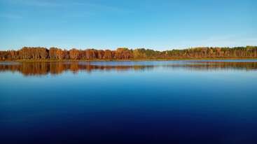 Ein ruhiger blauer See spiegelt einen Herbstwald unter klarem Himmel wider. Die Bäume haben goldene und orangefarbene Blätter, was eine friedliche, malerische und ruhige Landschaft schafft.