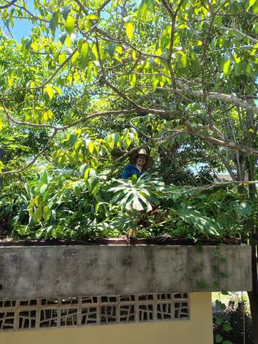 Una persona con un gran sombrero y gafas sonríe de pie en medio de una frondosa vegetación, encima de una estructura de hormigón, bajo un sol radiante y un cielo azul, rodeada de árboles.