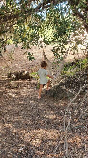 Un jeune enfant se tient à l'extérieur, sous un grand arbre feuillu, et s'accroche à un hamac suspendu. Le sol est couvert d'aiguilles de pin ; la lumière du soleil passe à travers le feuillage.