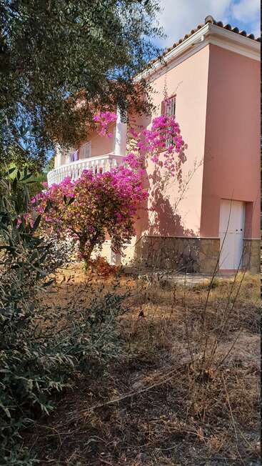 Une maison rose pastel avec balcon est partiellement cachée par des arbres et des bougainvilliers d'un rose éclatant, entourés d'herbes sèches et de feuillages naturels de jardins méditerranéens.