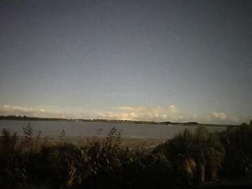 A serene nighttime landscape with calm water, distant clouds, a star-filled sky, and silhouettes of bushes and palm trees in the foreground, creating peaceful atmosphere.