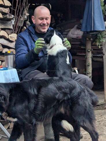 A smiling man wearing gloves pets a black and white dog affectionately while another similar dog stands nearby. Firewood is stacked behind them. Cozy outdoor scene.