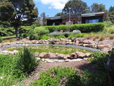 A modern house sits behind lush greenery and shrubs, overlooking a small, stone-bordered pond under a bright blue sky with scattered clouds and tall trees.