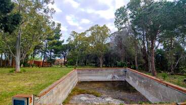An empty, neglected swimming pool sits in a large grassy yard surrounded by tall trees and forest. The sky is cloudy, and a building is visible.
