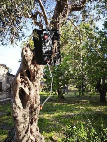 A black solar shower bag hangs from a tree branch outdoors, with a hose attached, surrounded by green grass, trees, and sunlight filtering through leaves.