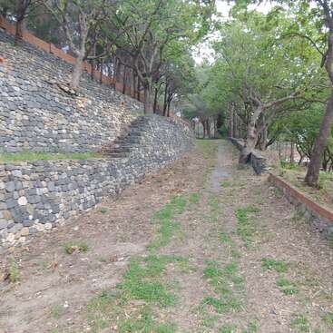 Un sentier en pierre serpente entre de solides murs de pierre, bordé de grands arbres et de verdure, et mène à un environnement paisible, ombragé et naturel, semblable à un parc.