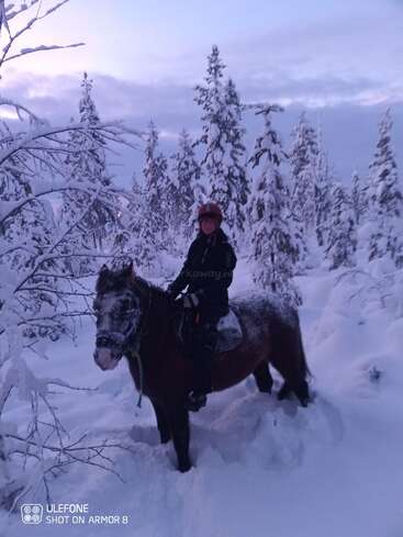 La imagen muestra a una persona montando a caballo por un bosque nevado, con el caballo mirando hacia la izquierda y el jinete con casco rojo y chaqueta negra.