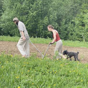 La imagen muestra a un hombre y una mujer trabajando juntos en un jardín, con un perro cerca, rodeados de exuberante vegetación y vibrantes flores amarillas.