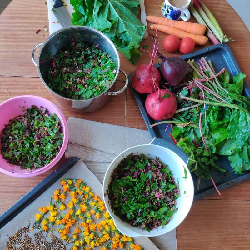 La imagen muestra una mesa de madera con varias verduras y hierbas, entre ellas remolachas, zanahorias y verduras de hoja verde, dispuestas en bandejas y cuencos, con algunos elementos picados o preparados para cocinar.