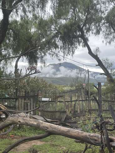 Uma cerca rústica de madeira e galhos espalhados emolduram um jardim verdejante. Montanhas enevoadas e um céu nublado criam, ao fundo, uma atmosfera tranquila e natural de campo.