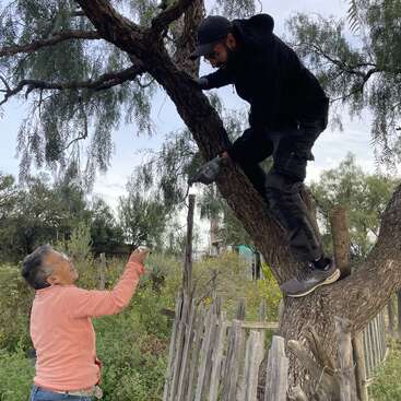 Ein Mann in Schwarz klettert mit einem Elektrowerkzeug in der Hand auf einen Baum, während eine ältere Frau in einem rosa Pullover mit ihm spricht, umgeben von Grün und einem Holzzaun.