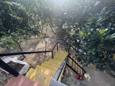 Cette image montre un escalier extérieur jaune avec des rampes noires menant à un jardin entouré d'arbres verdoyants et deux extincteurs en contrebas.