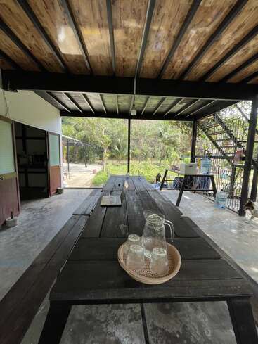 A rustic outdoor patio with a wooden ceiling and table, glass pitcher and cups on a tray, lush greenery outside, natural light, and open, relaxed atmosphere.