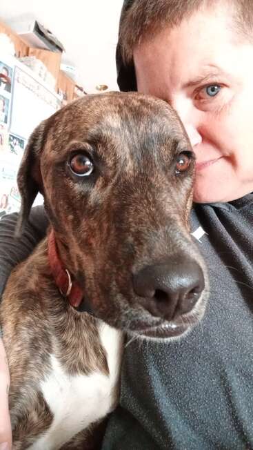 A close-up selfie of a person and a brindle dog, both looking at the camera. The scene appears warm, cozy, and full of affection.