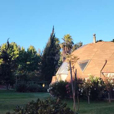 Uma casa em forma de cúpula geodésica com janelas angulares fica em meio a uma vegetação exuberante e arbustos floridos, cercada por palmeiras e pinheiros sob um céu azul claro. Um ambiente tranquilo.